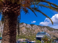 Kotor